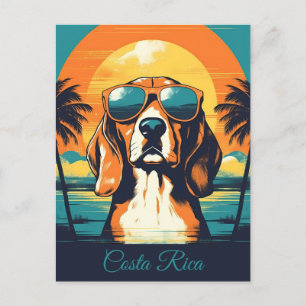 Cartão Postal Beagle com óculos de sol numa praia tropical Perso