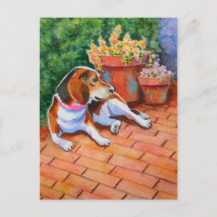 Cartão Postal Beagle em Brick Patio