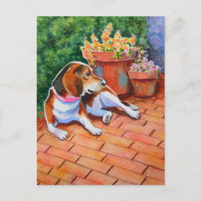 Cartão Postal Beagle em Brick Patio (Frente)