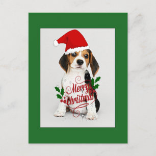 Cartão Postal Beagle Puppy em Santa Hat - Feliz Natal