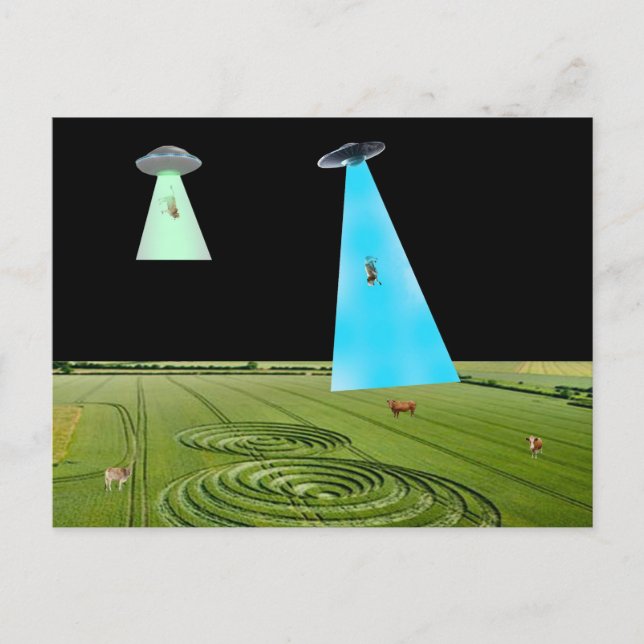 Cartão Postal Beaming Up the Beef Postcard (Frente)