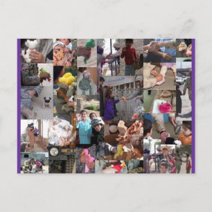 Cartão Postal Beanês Para As Nossas Tropas