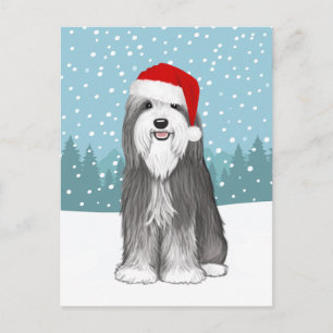 Cartão Postal Bearded Collie Férias Cachorro Fofo Natal Personal
