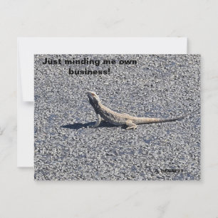 Cartão Postal Beardy, fora da NSW