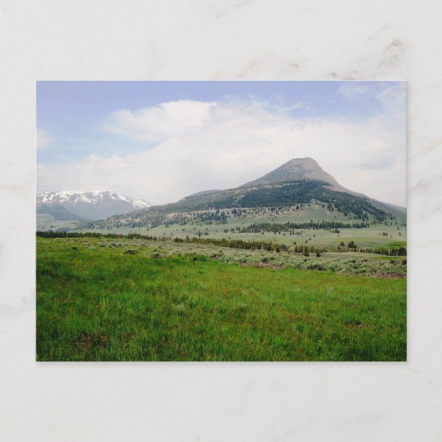 Cartão Postal Beartooth Butte (Frente)