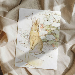 Cartão Postal Beatrix Potter do Conde de Pedro o Coelho
