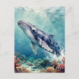 Cartão Postal Beautiful Impasto Whale Oceanic Keep in Touch