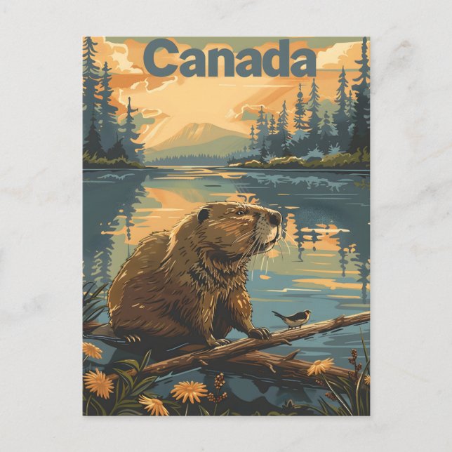 Cartão Postal Beaver do Canadá (Frente)
