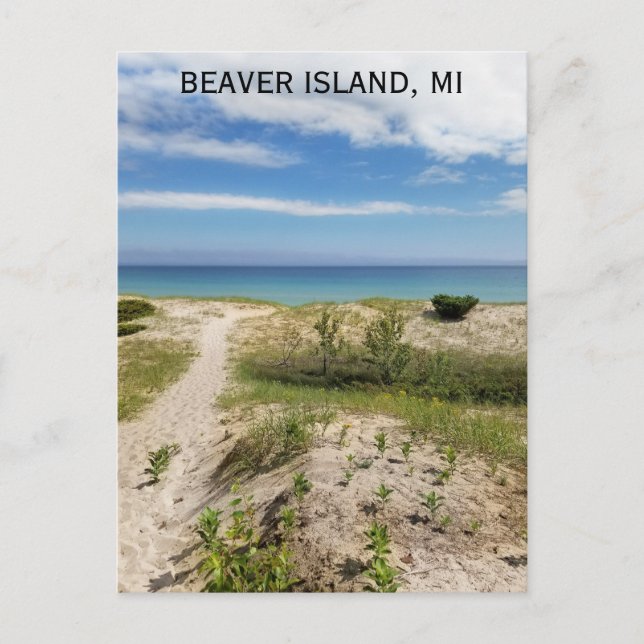 Cartão Postal Beaver Island Michigan Beach Viagem (Frente)