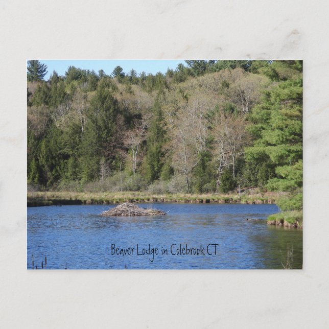 Cartão Postal Beaver Lodge em COLEBROOK, CT (Frente)