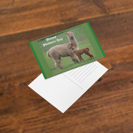 Cartão Postal Bebê Alpaca e mãe no campo