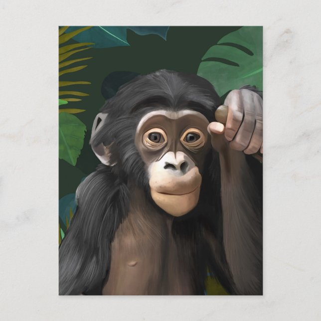 Cartão Postal Bebê Chimpanzé Fofo Folhas da Selva Tropical (Frente)