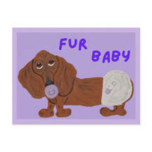 Bebê Furão Cachorro Dachshund