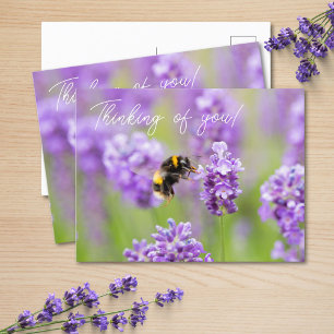 Cartão Postal Bebê Na Lavanda Pensando Em Você