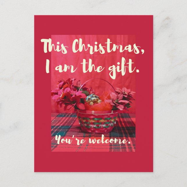 Cartão Postal Bebê-Sulcata Tortoise em poinsettia cesta (Frente)