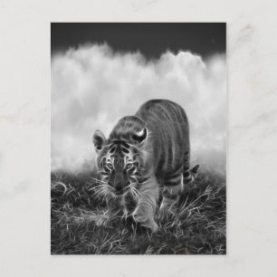 Cartão Postal Bebê tigre espreitando em preto e branco