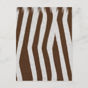 Cartão Postal Bebê Zebra