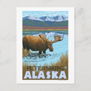 Cartão Postal Bebendo de alce no lago - Petersburgo, Alasca