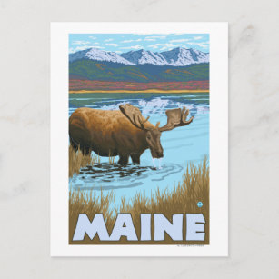 Cartão Postal Bebendo MaineMoose no lago