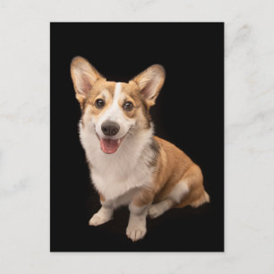 Cartão Postal Bebês Animais Mais Fofos   Sorriso de Cachorrinho 