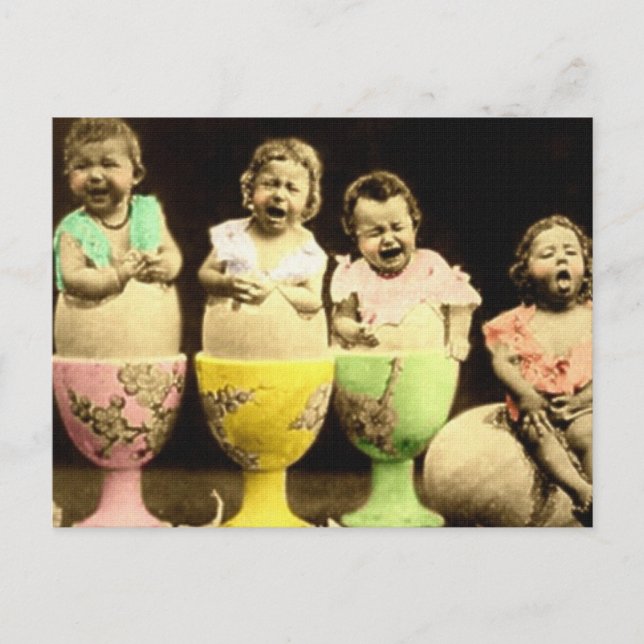 Cartão Postal Bebês de Ovo (Frente)