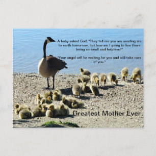 Cartão Postal Bebês-gansos e mãe-gansos