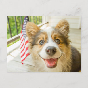 Cartão Postal Bebês Mais Pobres   Corgi Puppy Patriótico