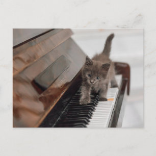 Cartão Postal Bebês Mais Pobres   Kitten on Piano