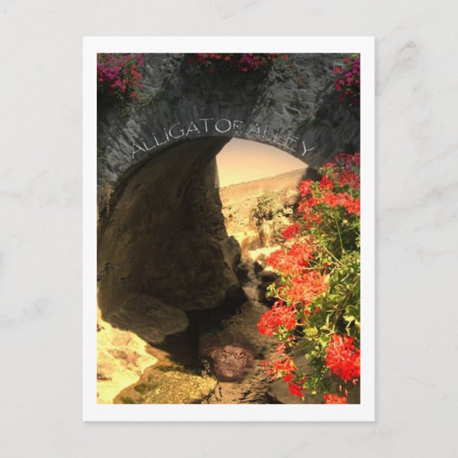 Cartão Postal Beco do Alinhador de PLACA postada (Frente)