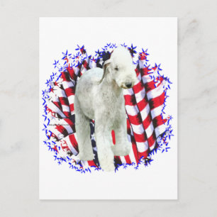 Cartão Postal Bedlington Terrier Patriot