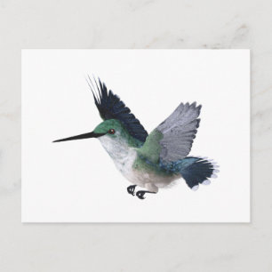 Cartão Postal Bee Hummingbird Female