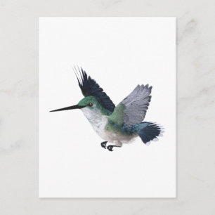 Cartão Postal Bee Hummingbird Female