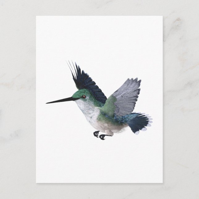 Cartão Postal Bee Hummingbird Female (Frente)