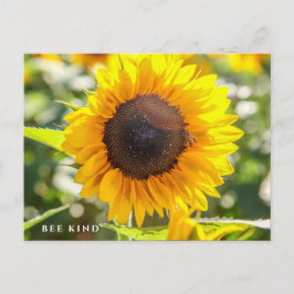 Cartão Postal Bee Kind | Girassol