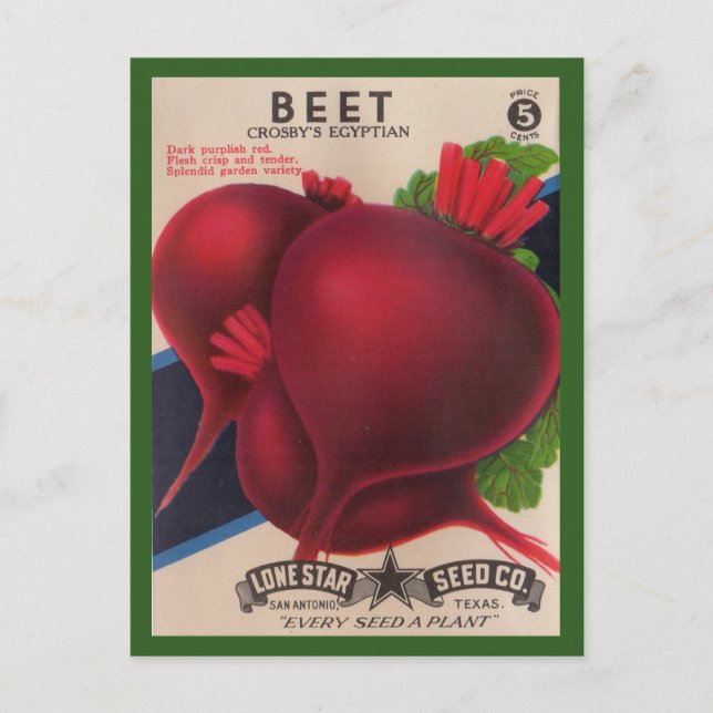 Cartão Postal Beets de pacote de semente dos anos 50 (Frente)