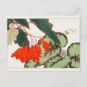 Cartão Postal Begonia por Tanigami Konan
