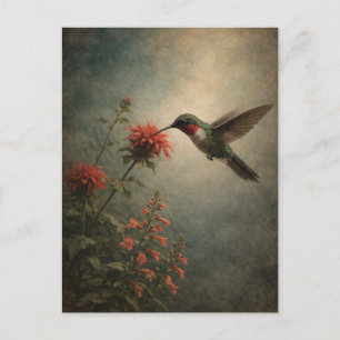 Cartão Postal Beija-flor Bloom Arte Floral de Pássaros Cartã
