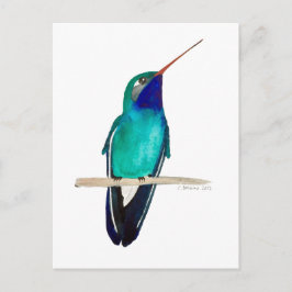 Cartão Postal Beija-flor-de-bico-largo