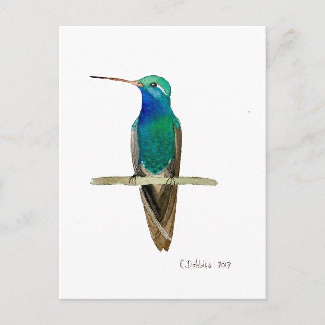 Cartão Postal Beija-flor-de-bico-largo (Frente)