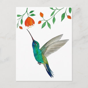 Cartão Postal Beija-flor-de-bico-largo