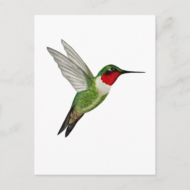 Cartão Postal Beija-flor-de-garganta-rubí (Frente)