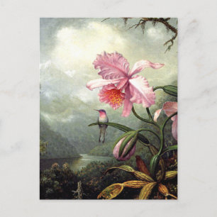 Cartão Postal Beija-flor Empoleirado, arte fina,