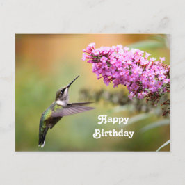 Cartão Postal Beija-flor Fauna Floral Foto Aniversário