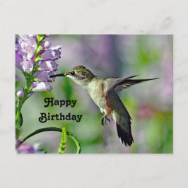 Cartão Postal Beija-flor Foto Floral Rosa Aniversário Vida Selva