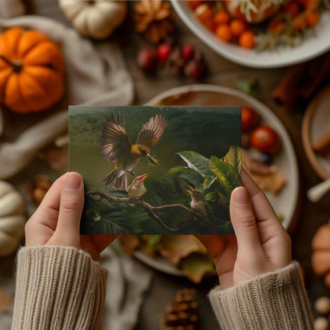 Cartão Postal Beija-flor-mãe equilibra-se graciosamente (Criador carregado)