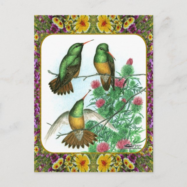Cartão Postal Beija-flores e Flores #1 (Frente)