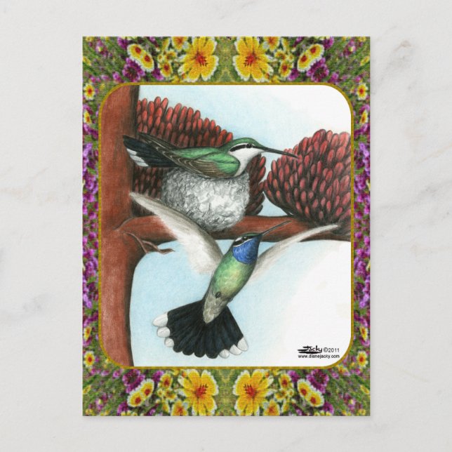 Cartão Postal Beija-flores e Flores #3 (Frente)