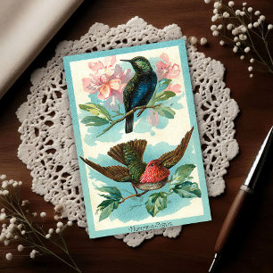 Cartão Postal Beija-flores Vintage 1917 Arte Tropical