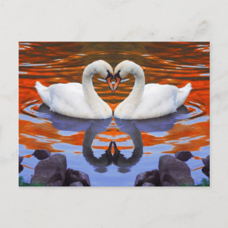 Cartão Postal Beijar Cisnes no Amor, Pescoços em Forma de Coraçã