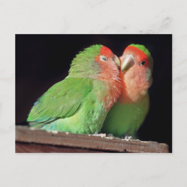 Cartão Postal Beije-Me (Frente)